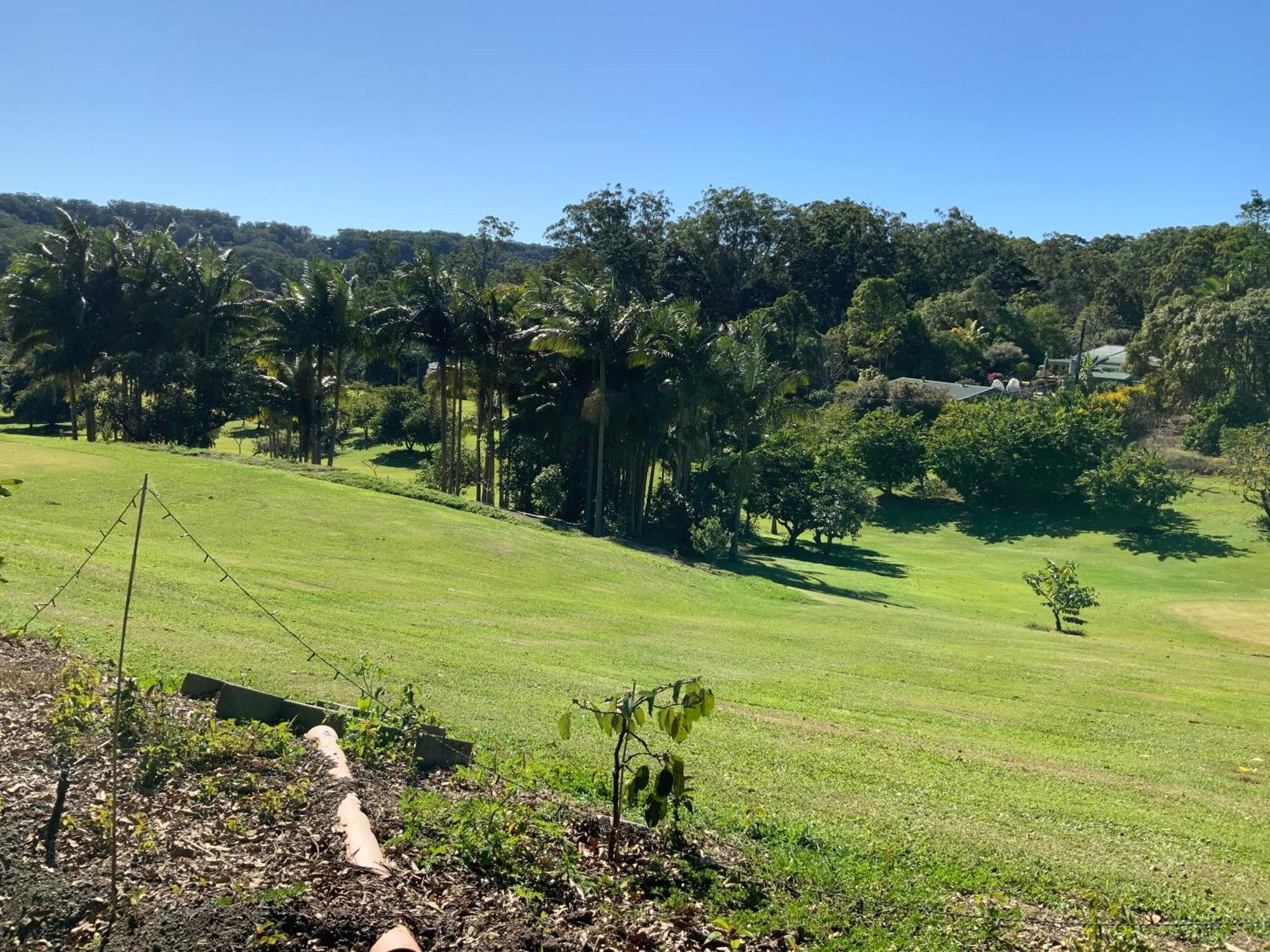 Sunshine Coast Retreat Your Own Private Golf Course Diddillibah 外观 照片