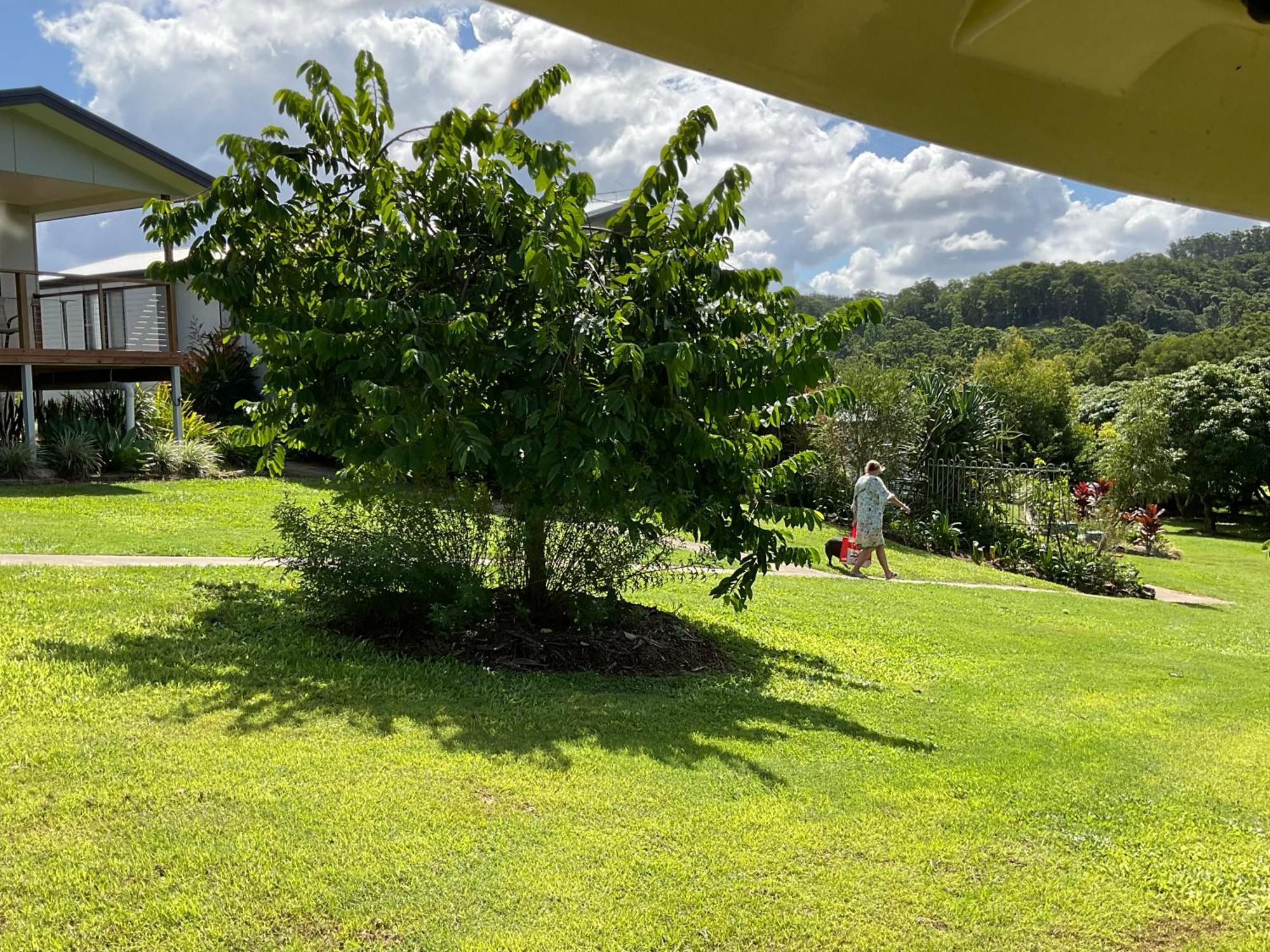 Sunshine Coast Retreat Your Own Private Golf Course Diddillibah 外观 照片