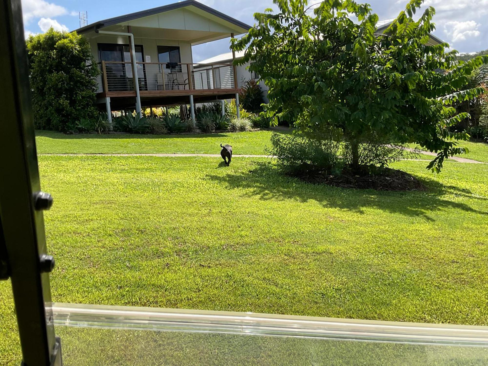 Sunshine Coast Retreat Your Own Private Golf Course Diddillibah 外观 照片