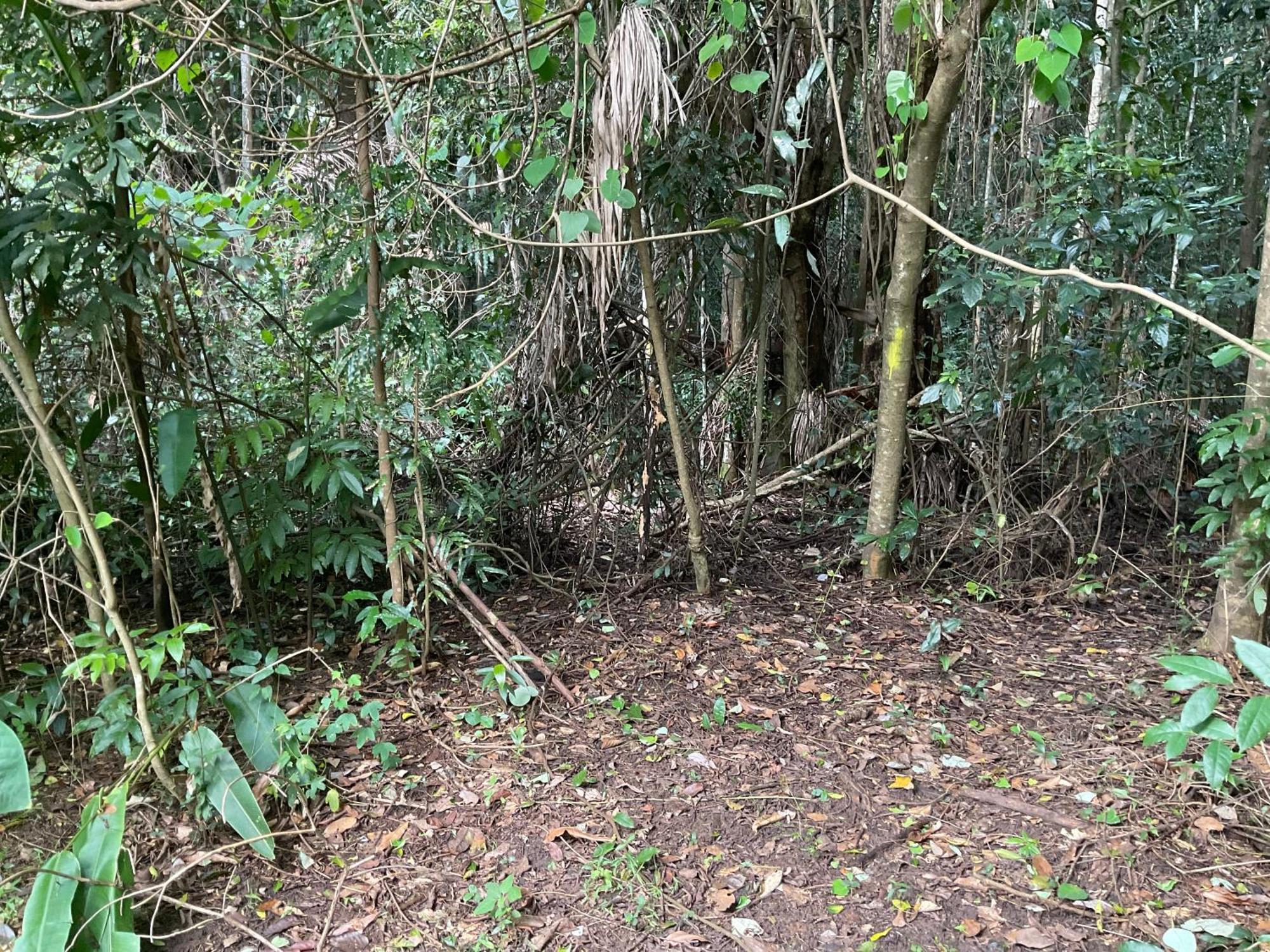 Sunshine Coast Retreat Your Own Private Golf Course Diddillibah 外观 照片