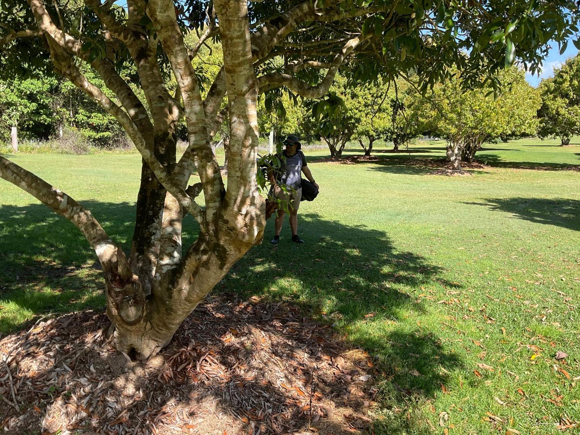Sunshine Coast Retreat Your Own Private Golf Course Diddillibah 外观 照片