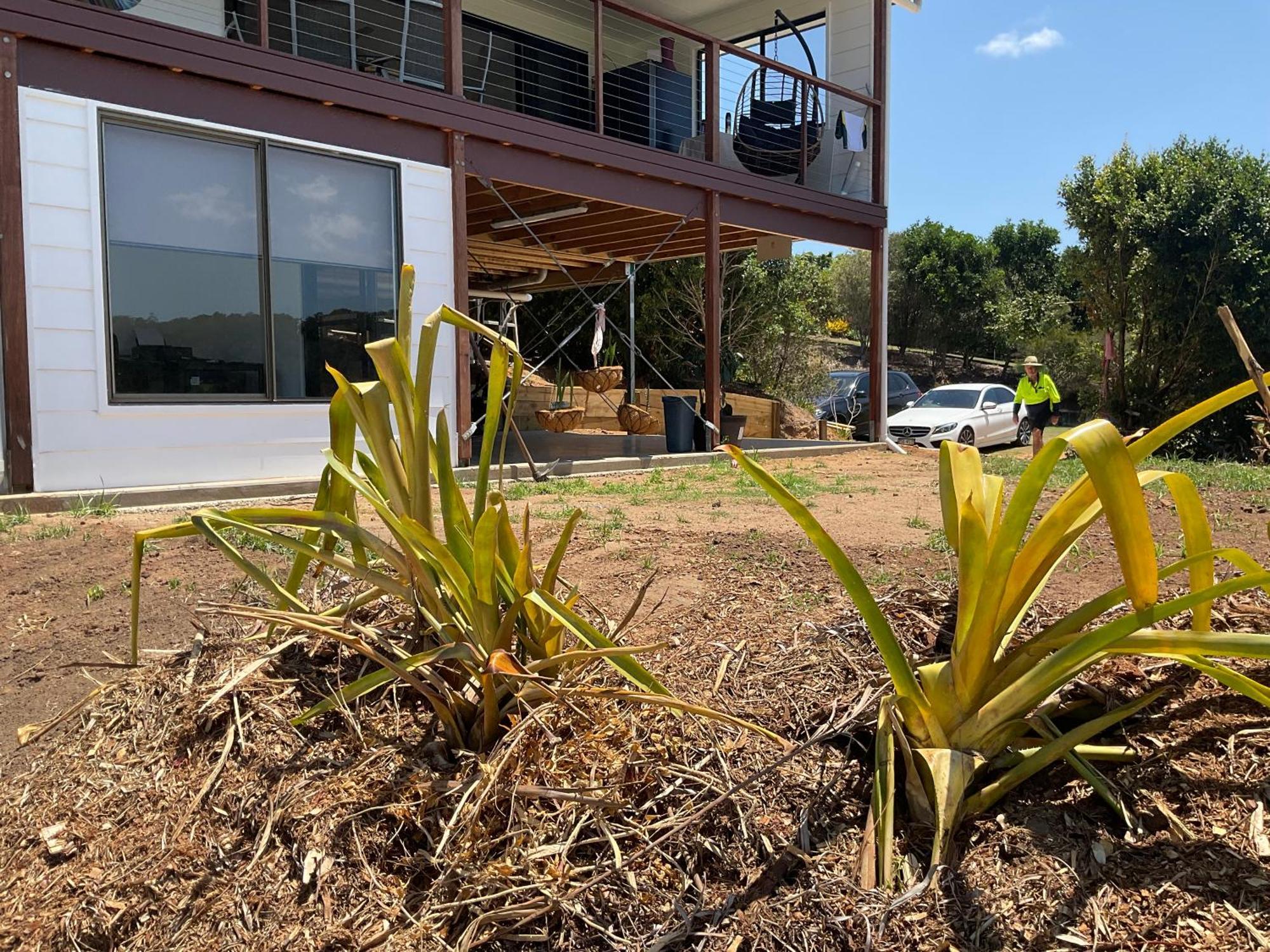 Sunshine Coast Retreat Your Own Private Golf Course Diddillibah 外观 照片